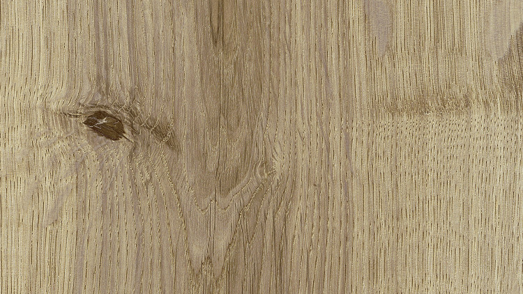 5925_Strasbourg Oak