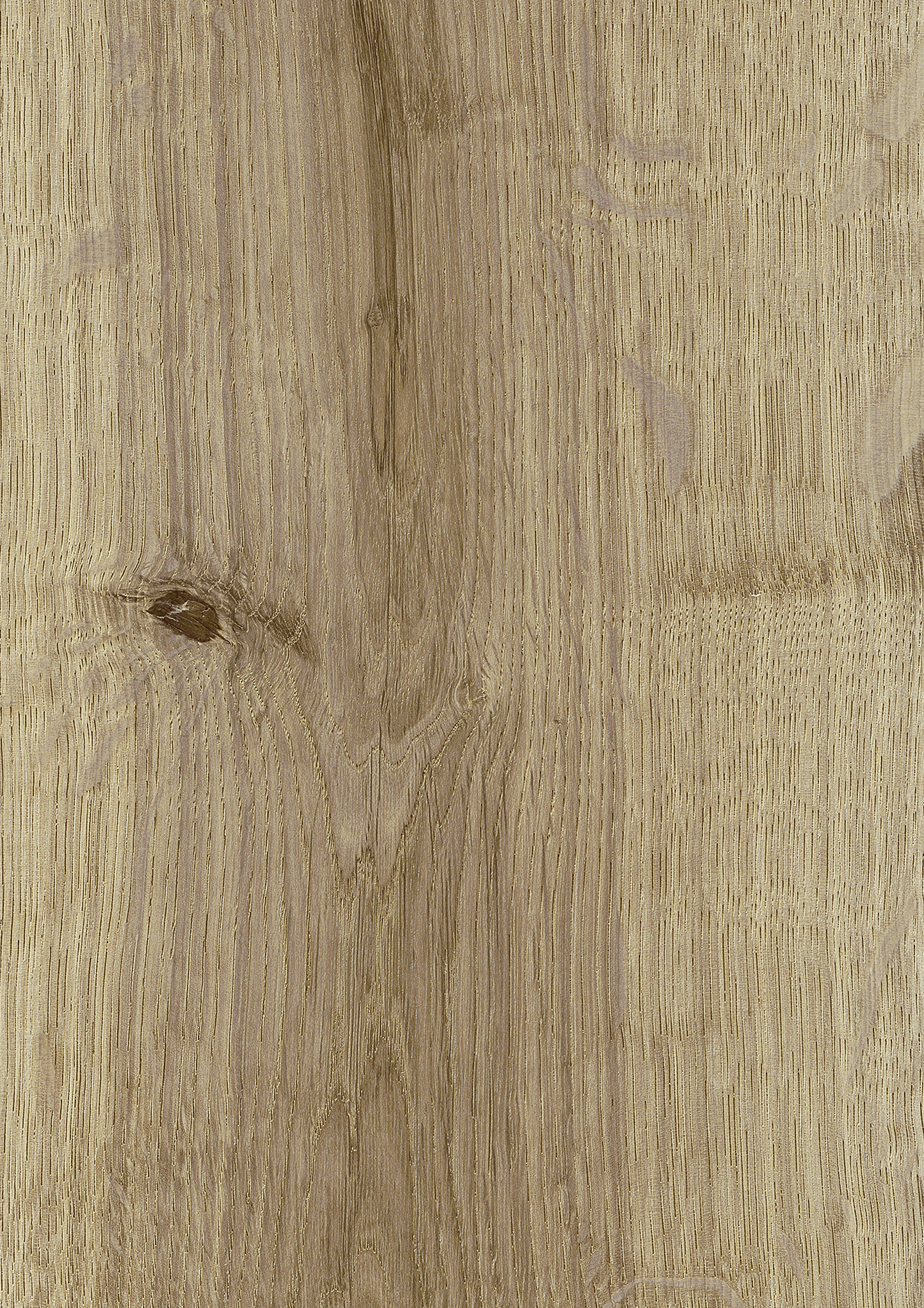 5925_Strasbourg Oak